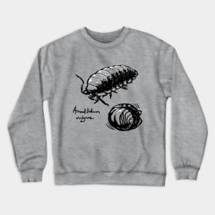 Roly Poly Crewneck Sweatshirt